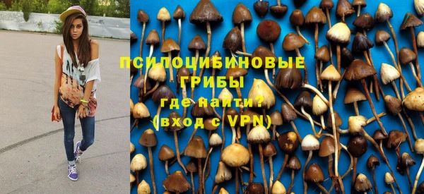 героин Инсар
